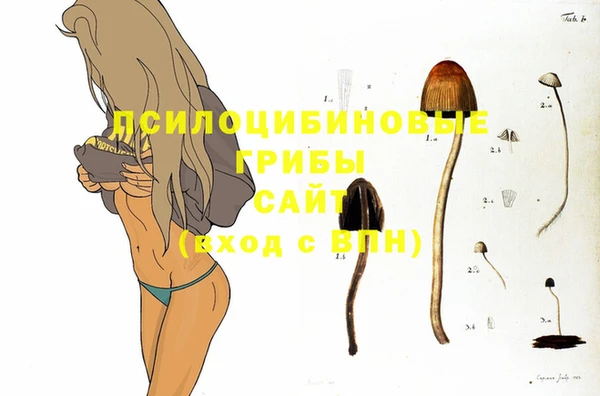 ПСИЛОЦИБИНОВЫЕ ГРИБЫ Аркадак