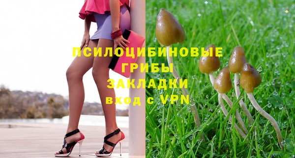 ПСИЛОЦИБИНОВЫЕ ГРИБЫ Аркадак